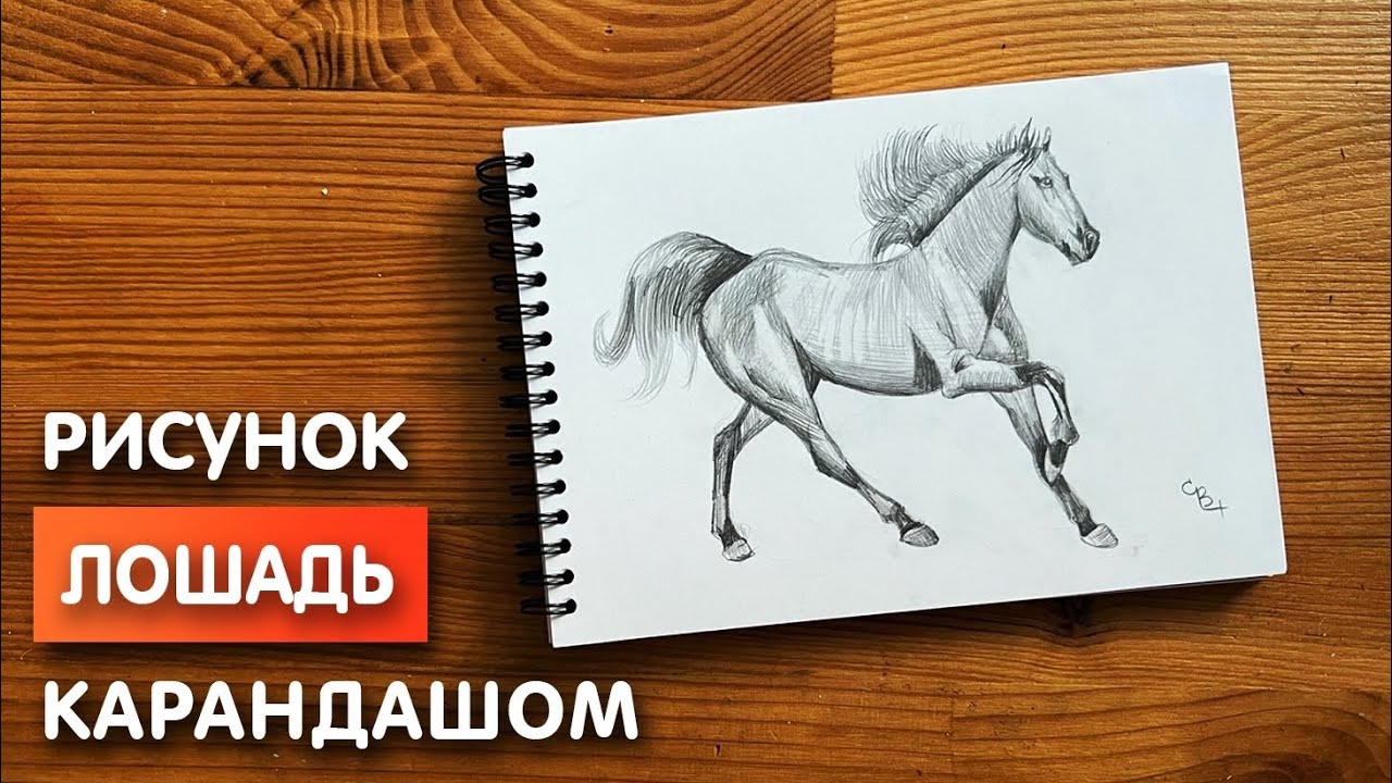 Рисуем скетчи! Как нарисовать лошадь простым карандашом