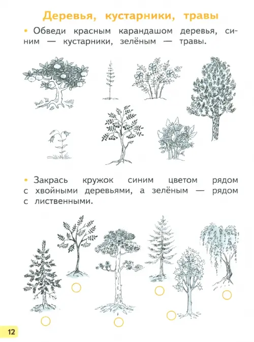 Страница 15 ГДЗ по Окружающему миру для 1 класса Рабочая