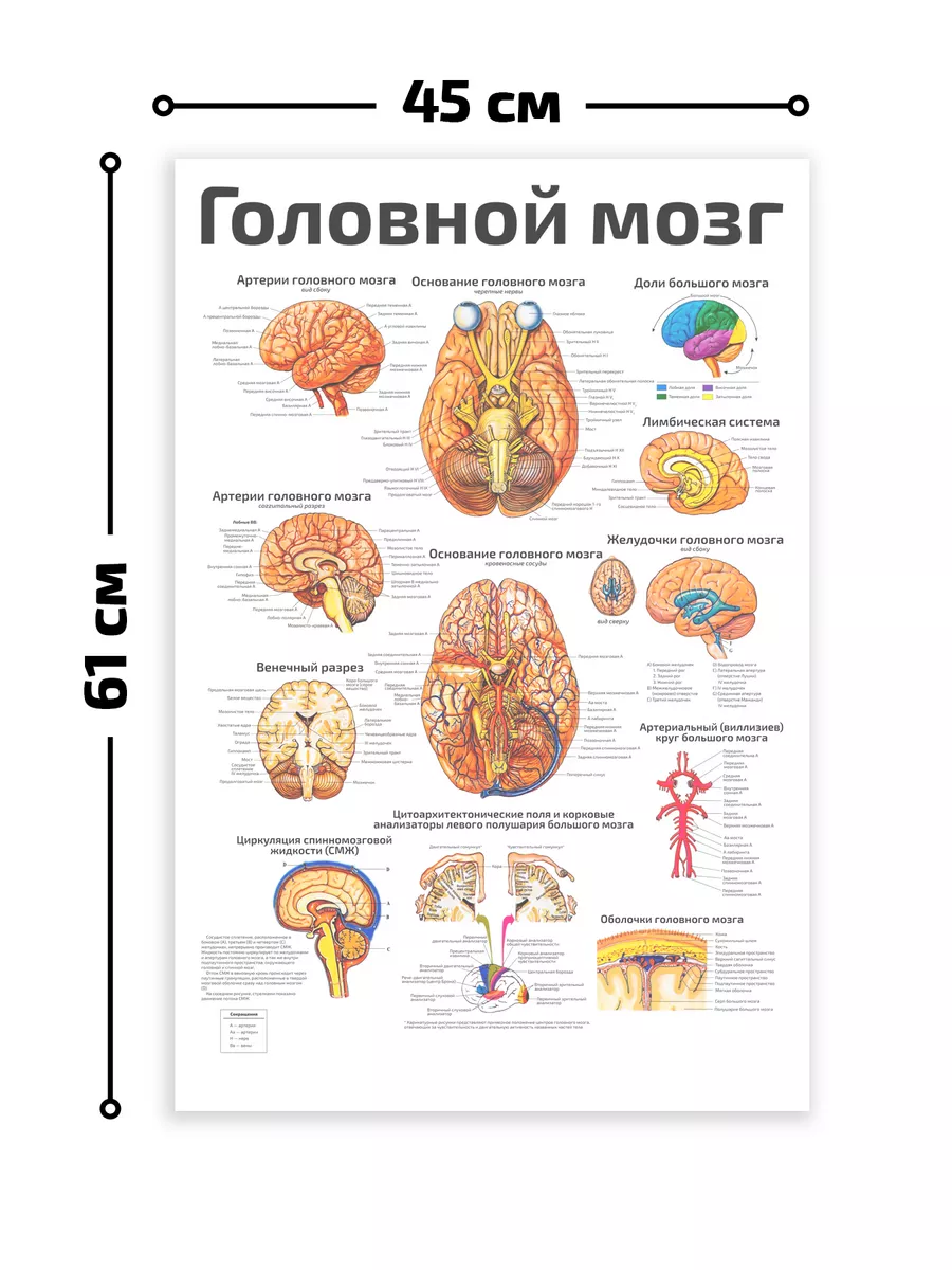 Мультисенсорный музей