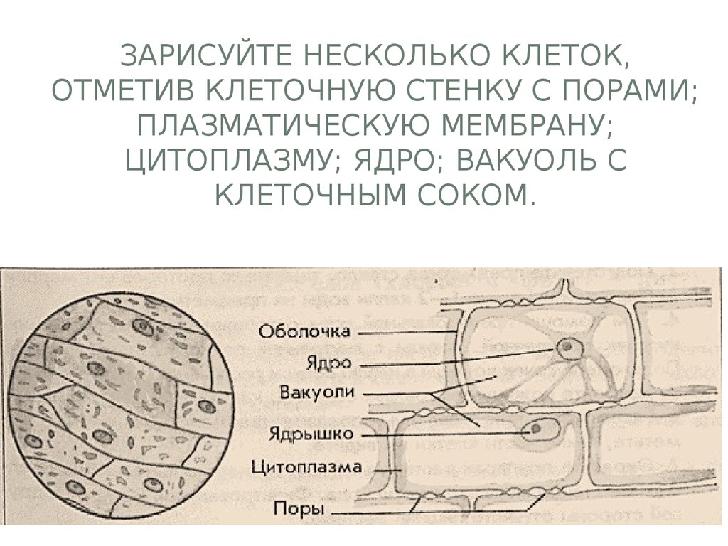 На картинке / В жизни | Пикабу