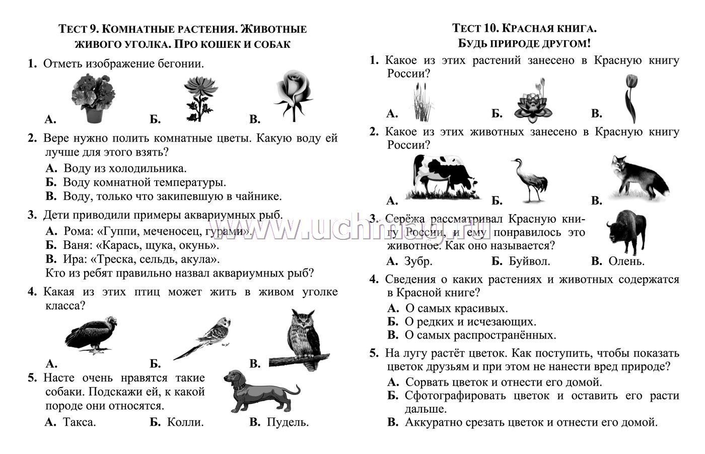 Картинки окружающий мир колокольчик 