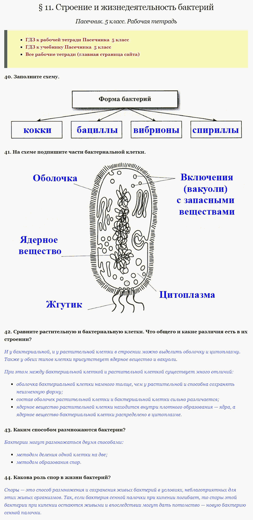 Биосинтез белка в клетке: процессы