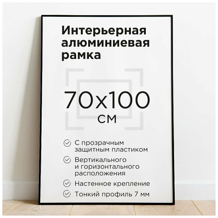 Рамка 70*100 для плакатов Клик профиль