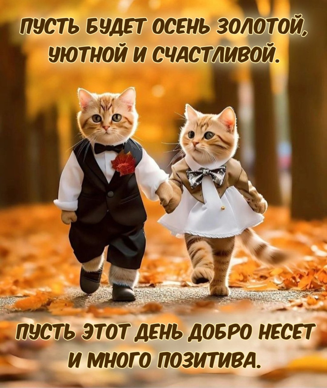 Осенняя Природа С Добрым Утром | 