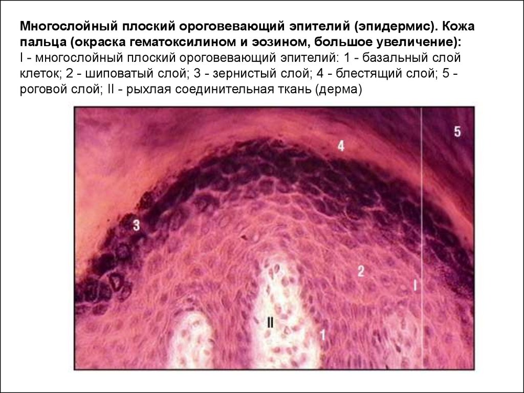 МЕЖДУНАРОДНЫЙ ЖУРНАЛ ПРИКЛАДНЫХ И