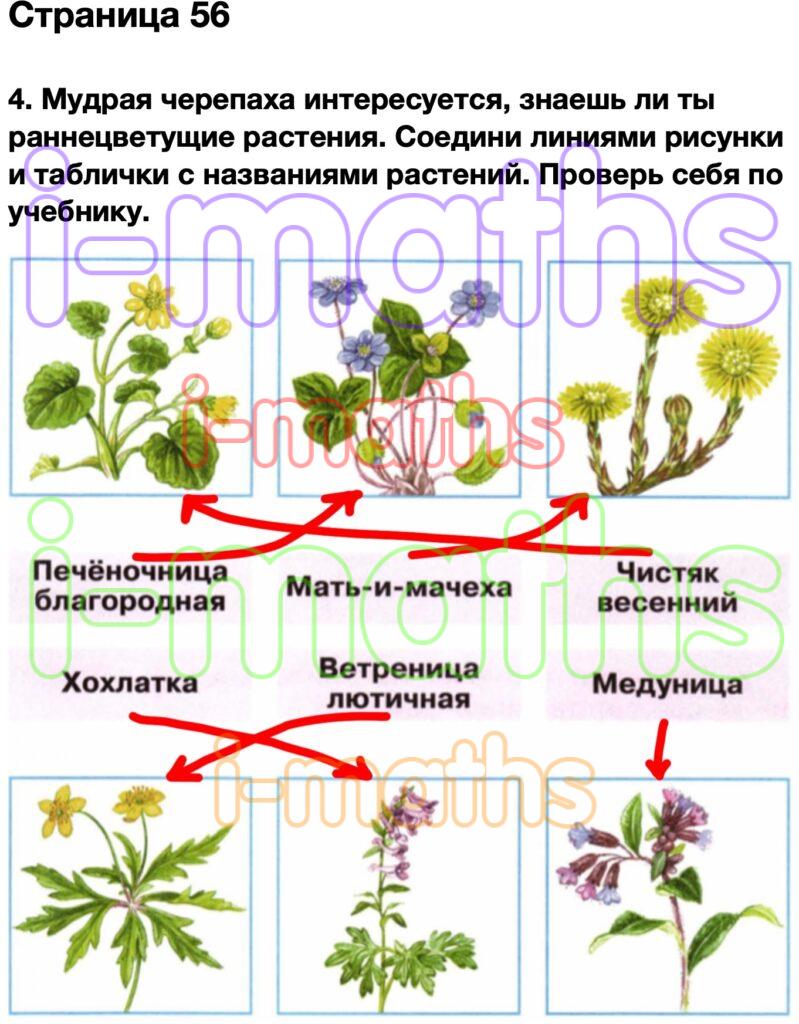 Страница 33 ГДЗ по Окружающему миру