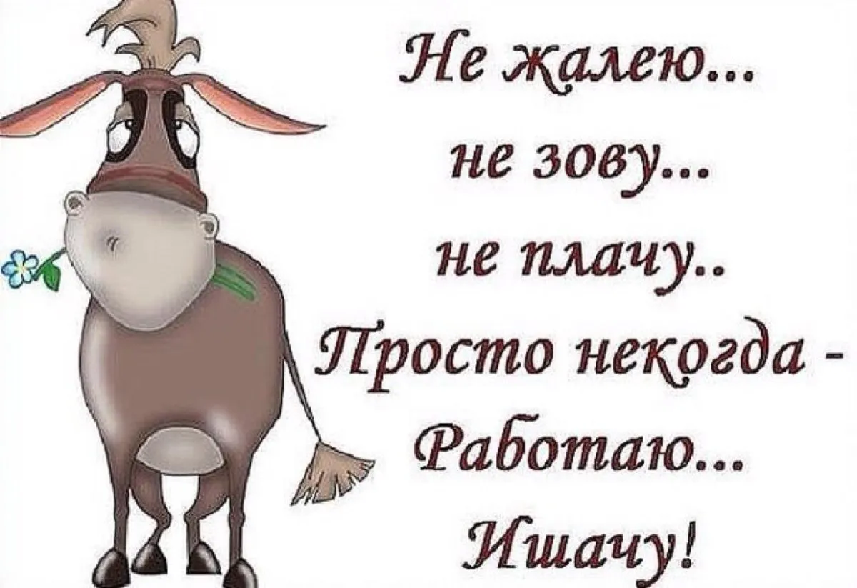 Кто сказал, что на работе сложно и не