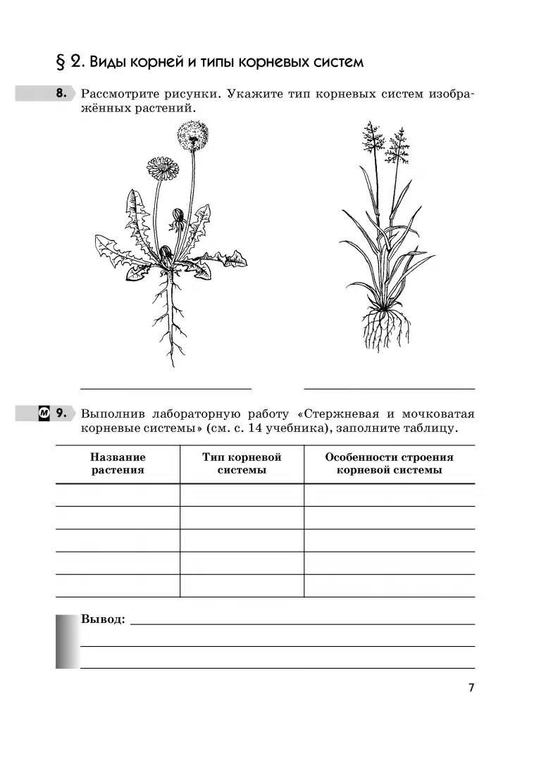 Задание 5 Определите на рисунке