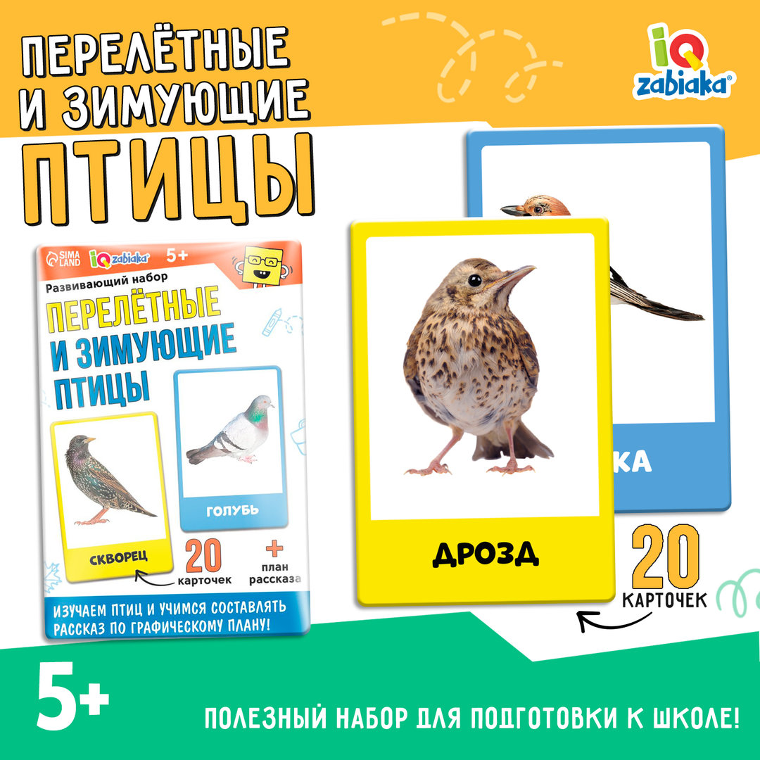 Где зимуют и когда возвращаются перелётные птицы? | Аргументы