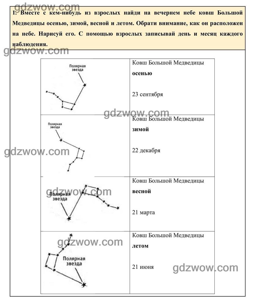 Малая И Большая Медведица Рисунок 