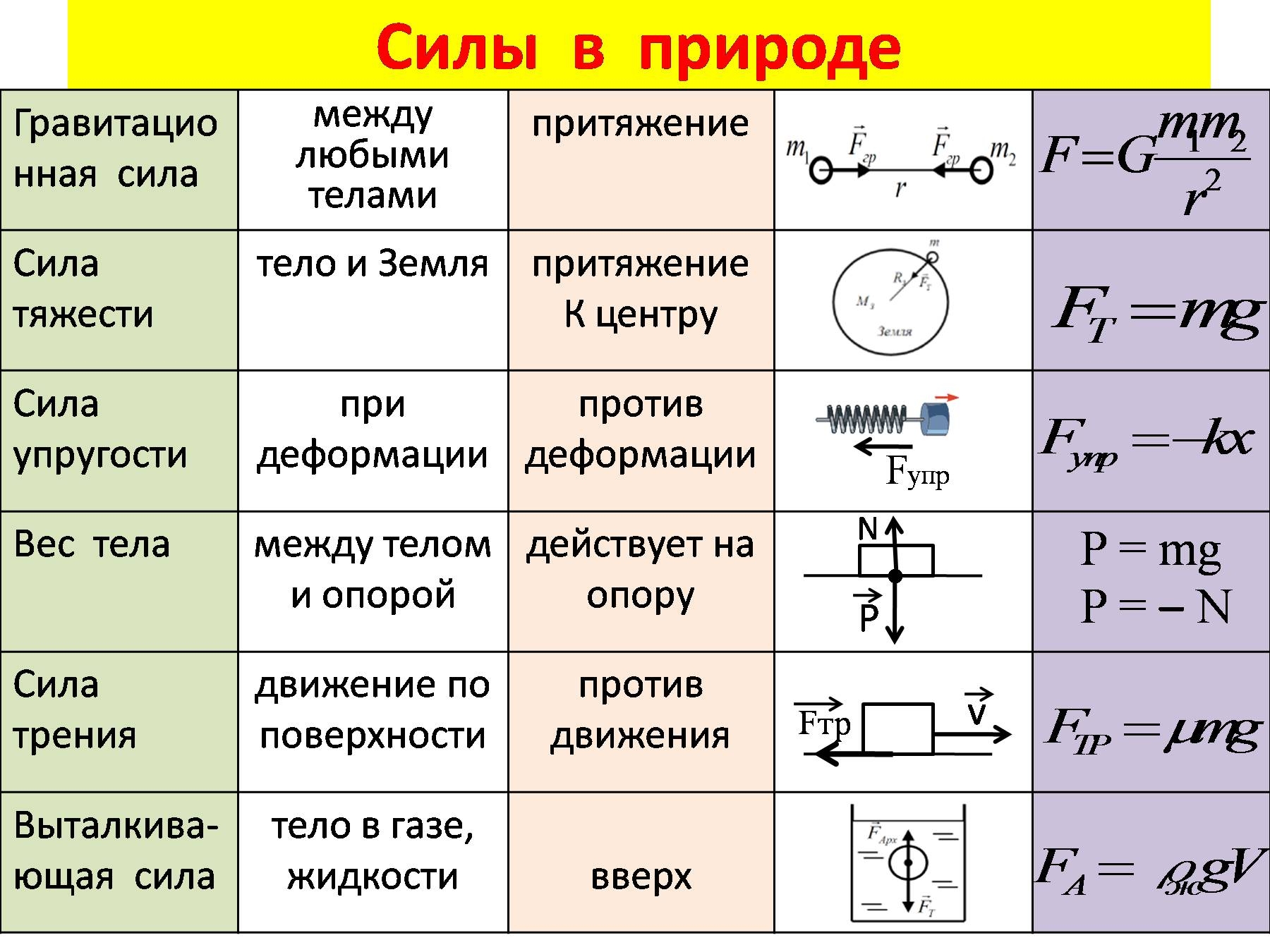 Физика Дарья Дейген, И. Попова : в Минске в интернет