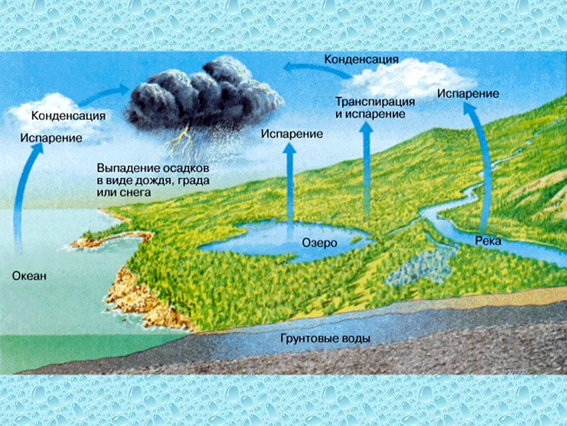 Идеи для срисовки круговорот воды в природе легкие 