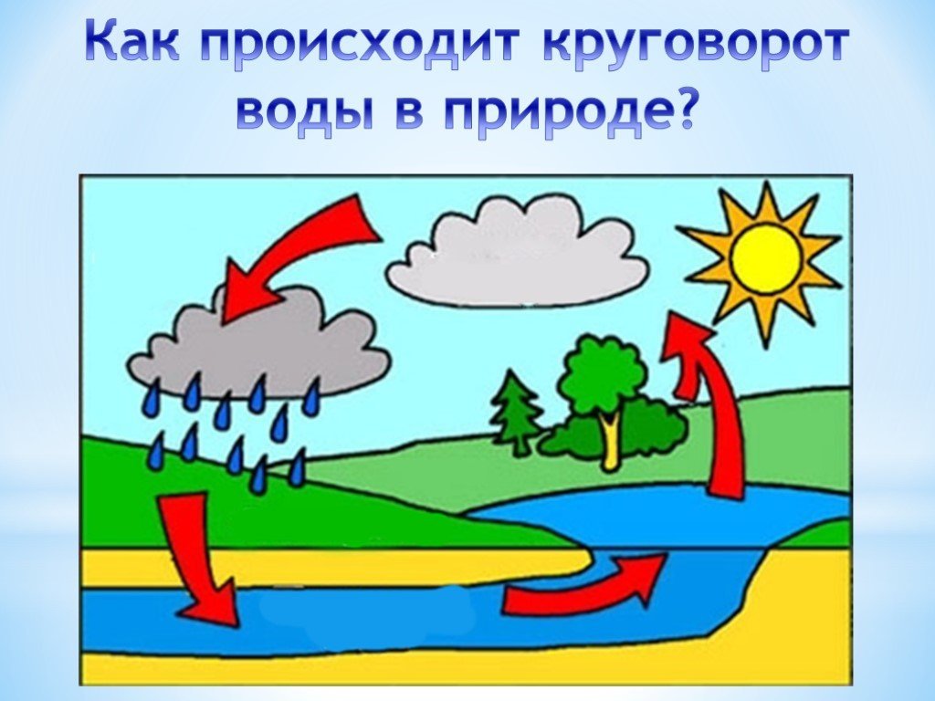 Круговорот Воды В Природе Рисунок 