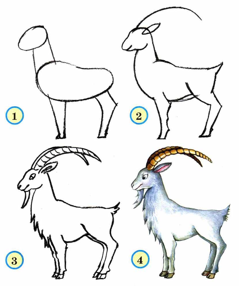 How to Draw a Cow / Как нарисовать корову