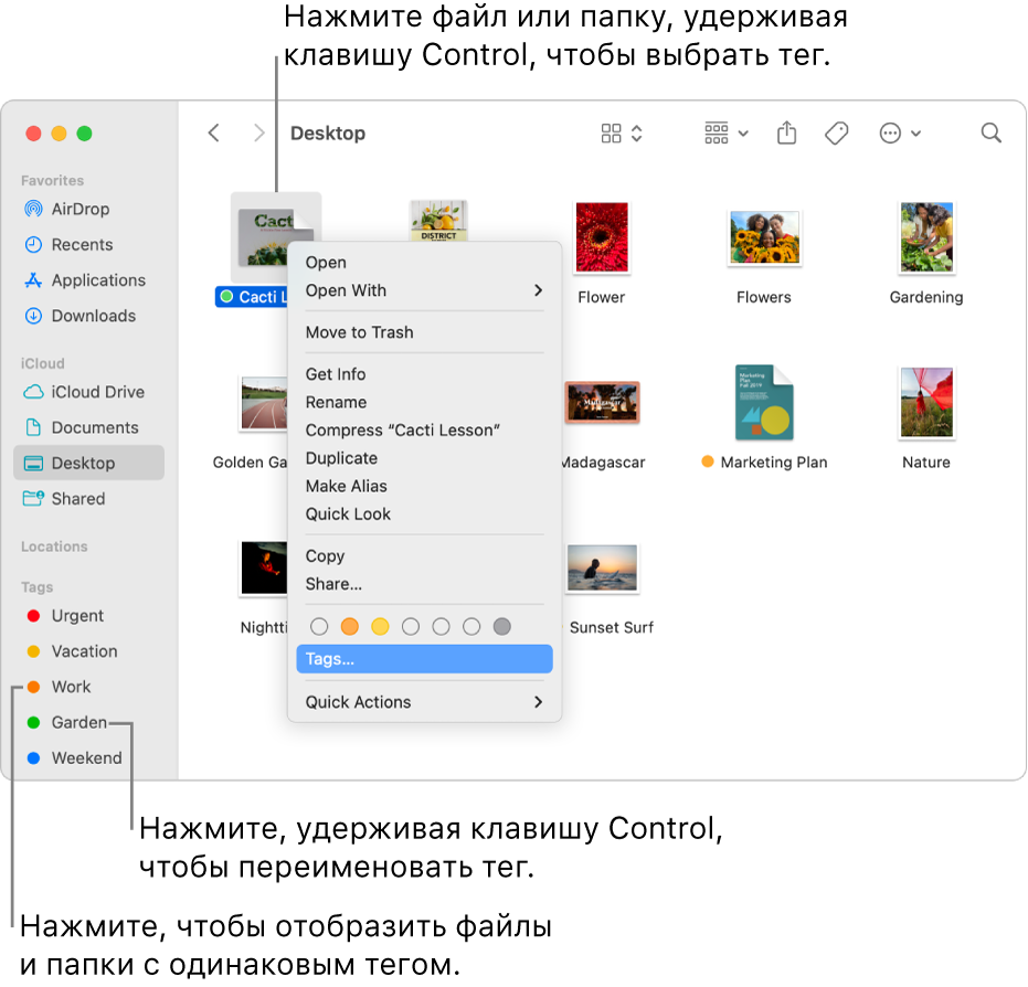 Как ввести символ степени на Mac [Быстрые советы]