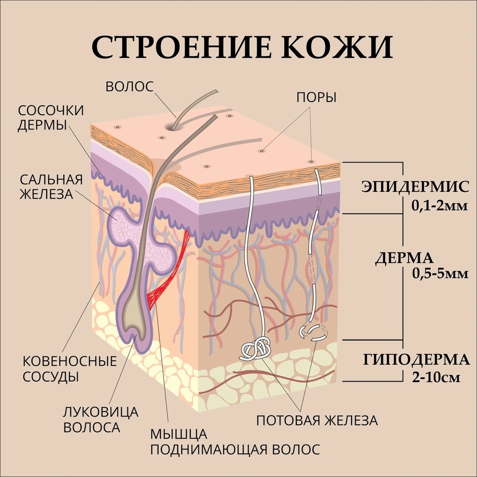 Красная тёмная, краска акриловая по