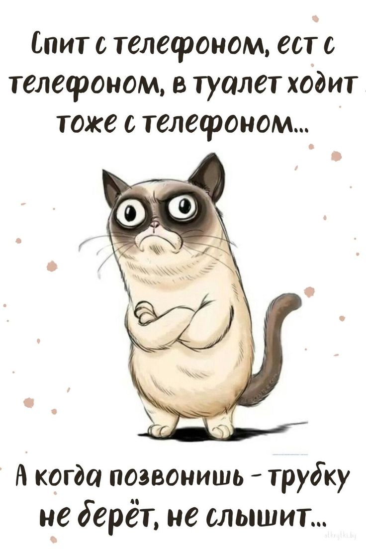 Только #юмор нас спасёт #туризмужить