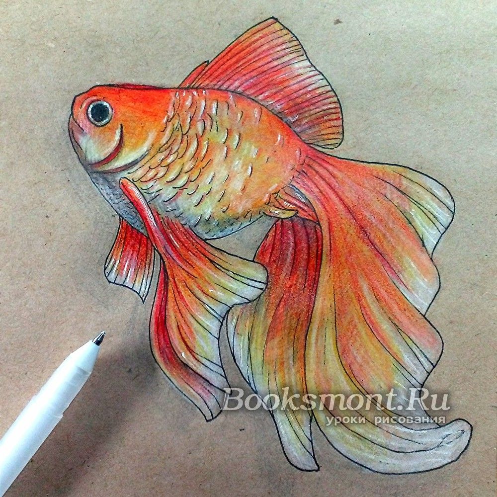 HOW TO DRAW A FISH WITH PENCIL Simple