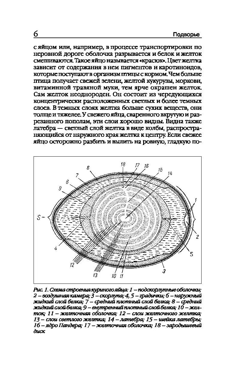 Раскраска Пасхальные яйца 67