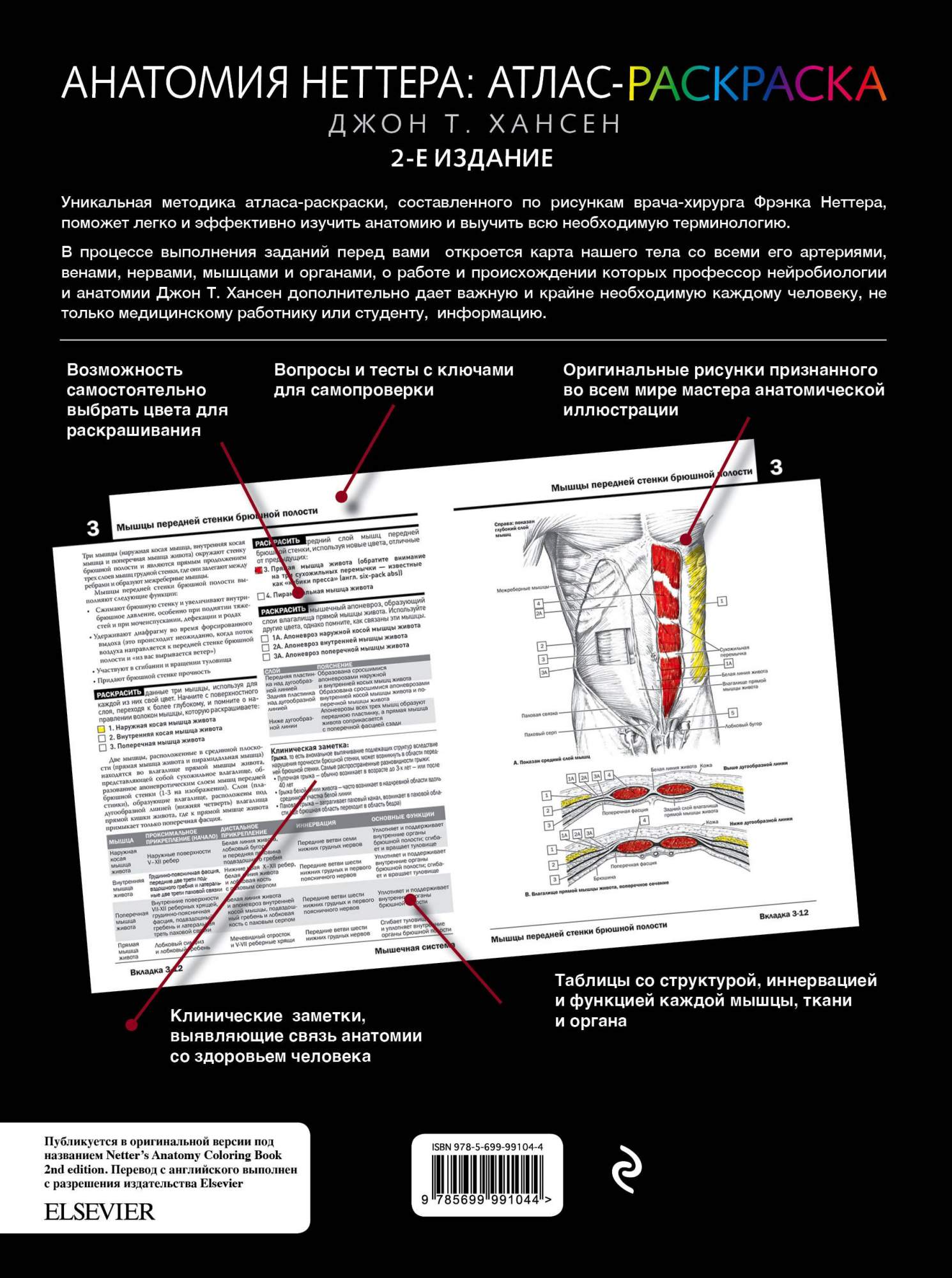 Полный атлас анатомии человека. Мышечно