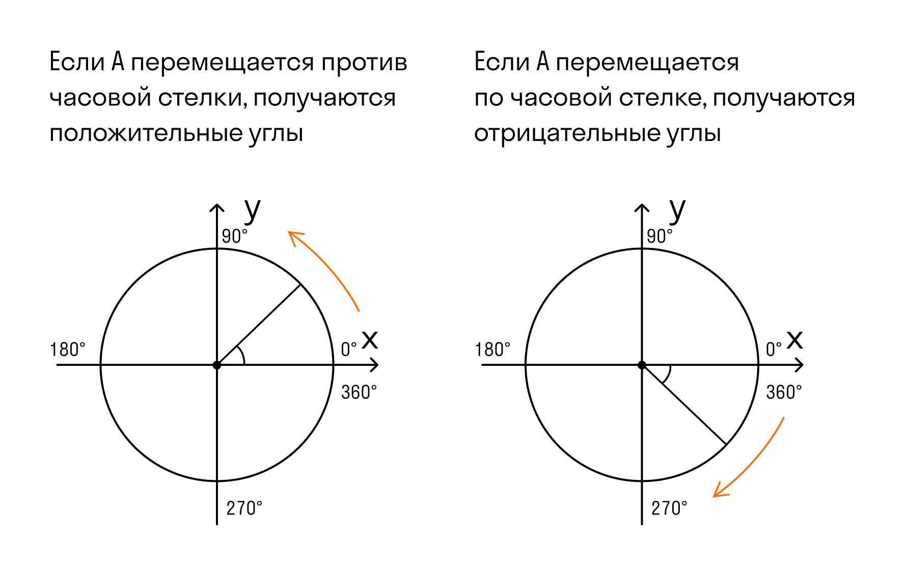 Основные пропорции человека при