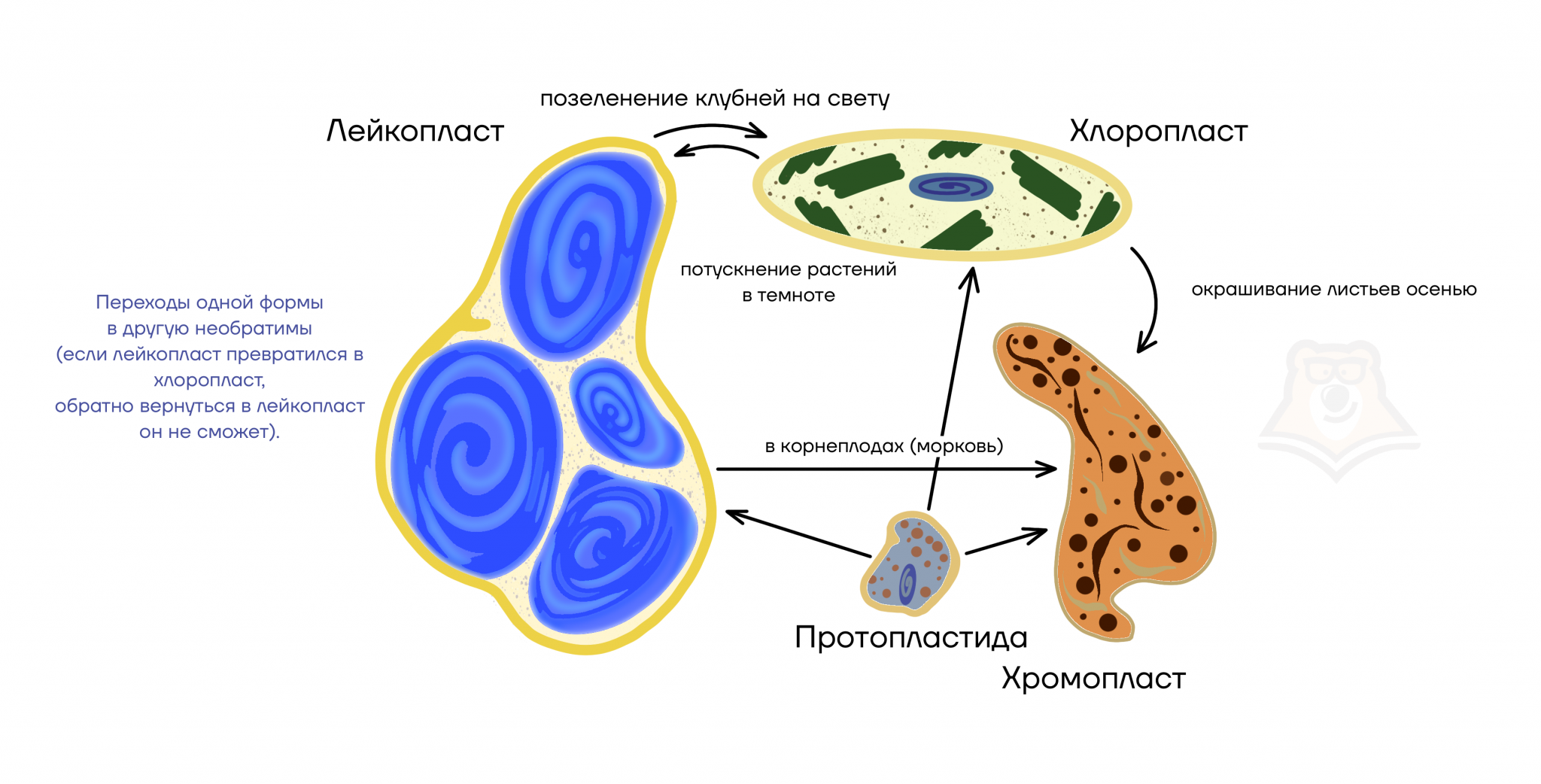 Примерные темы лабораторно