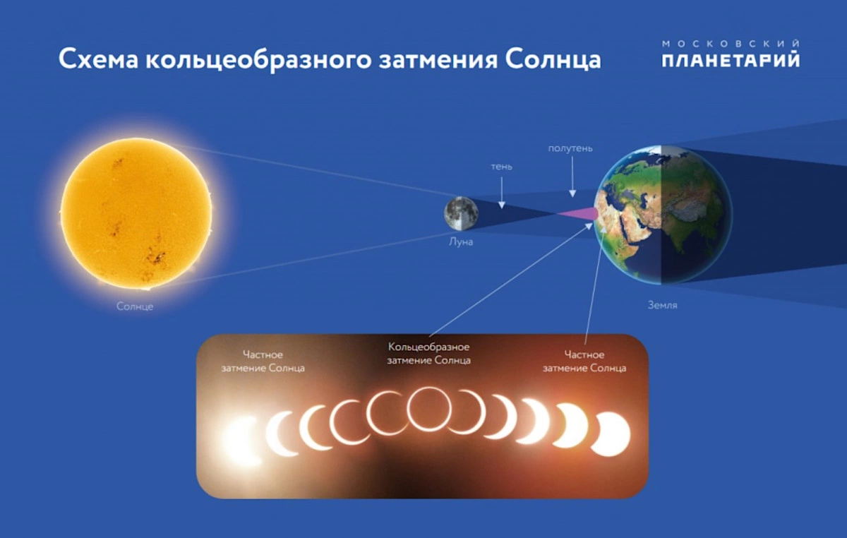 Презентация к библиотечному часу