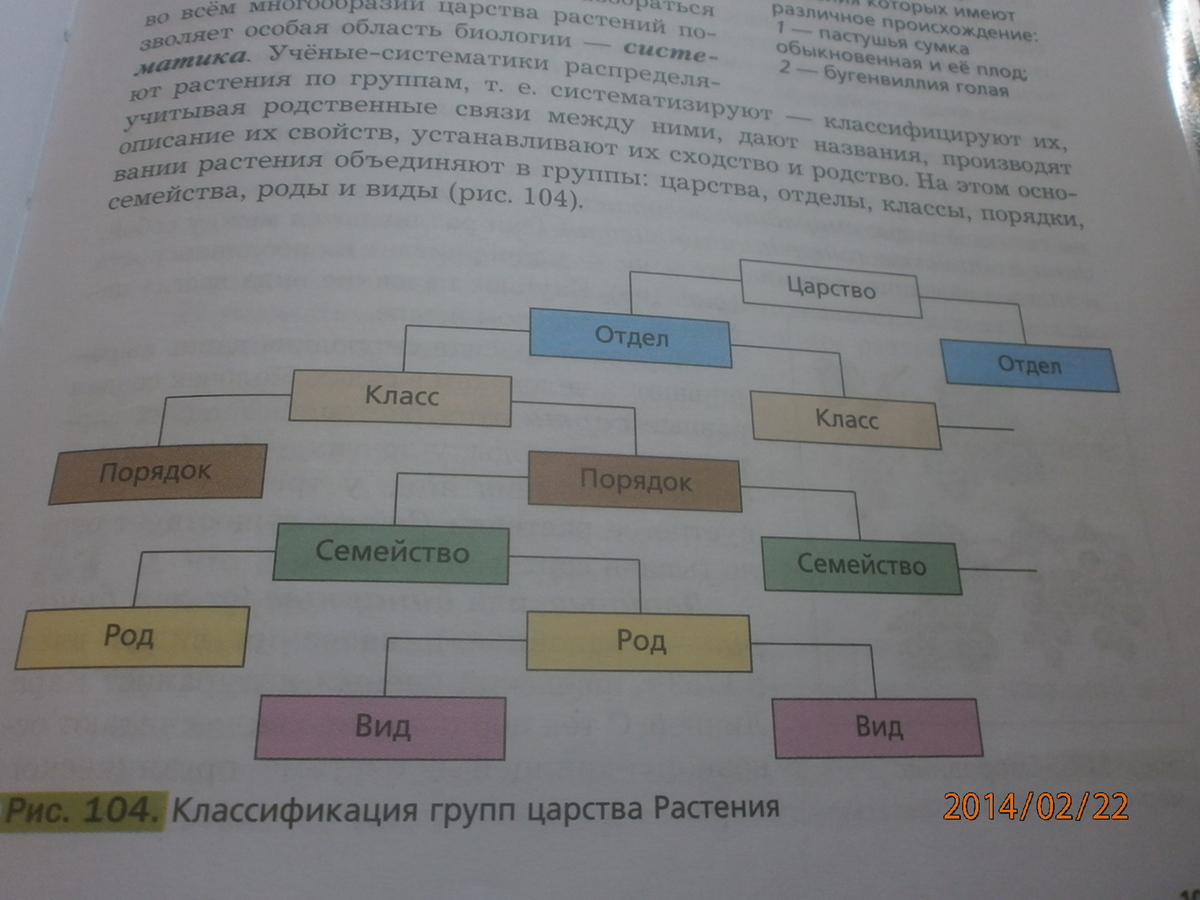 Часть 2 ГДЗ Рабочая