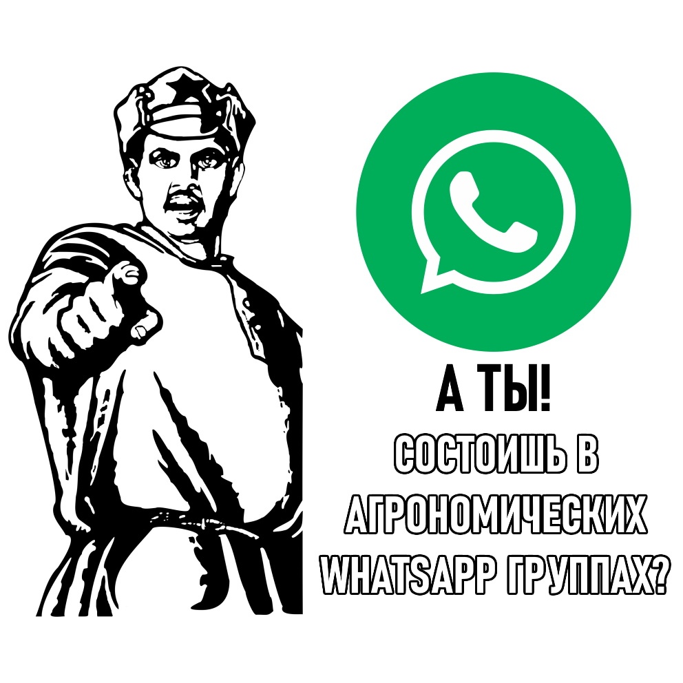 Как скопировать ссылку на WhatsApp: на группу, номер телефона