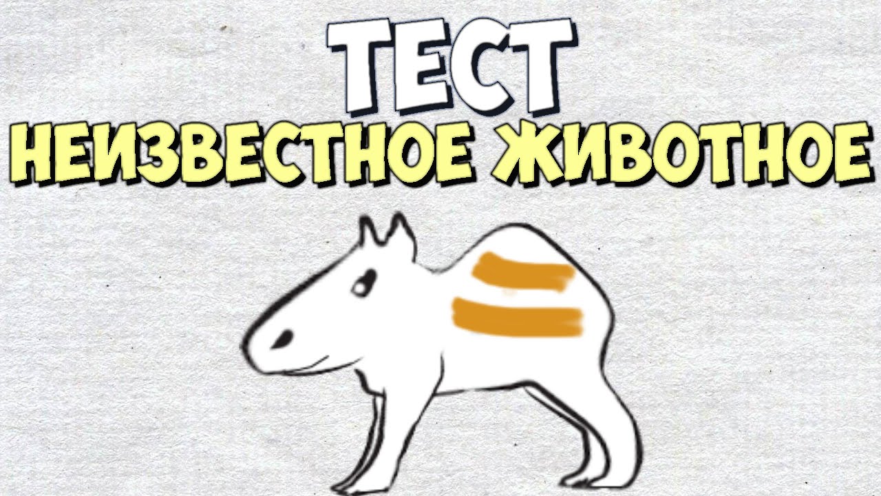 Как концепт