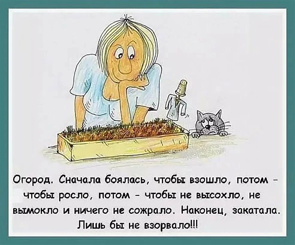 Мотивация картинки смешные 