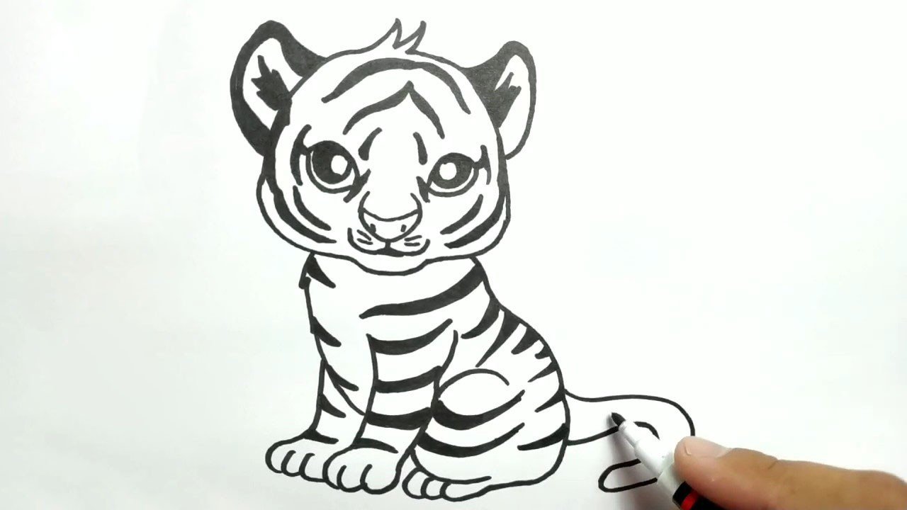 How to draw a cute tiger, Как