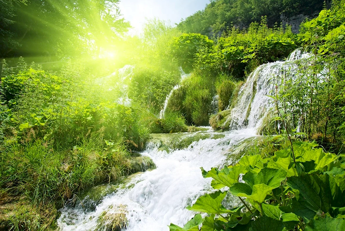 Лицо красивой женщины с длинными коричневыми волосами