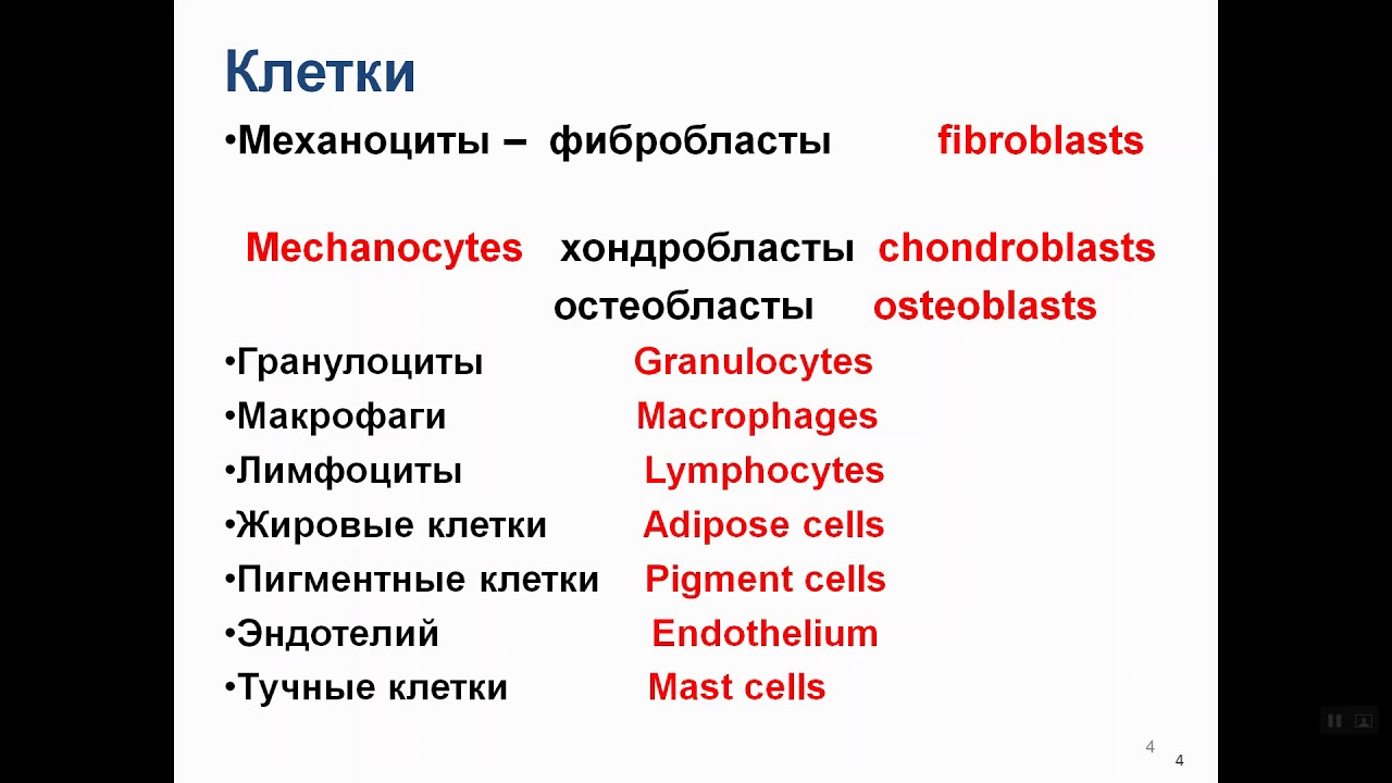 Жировая дистрофия печени рисунок