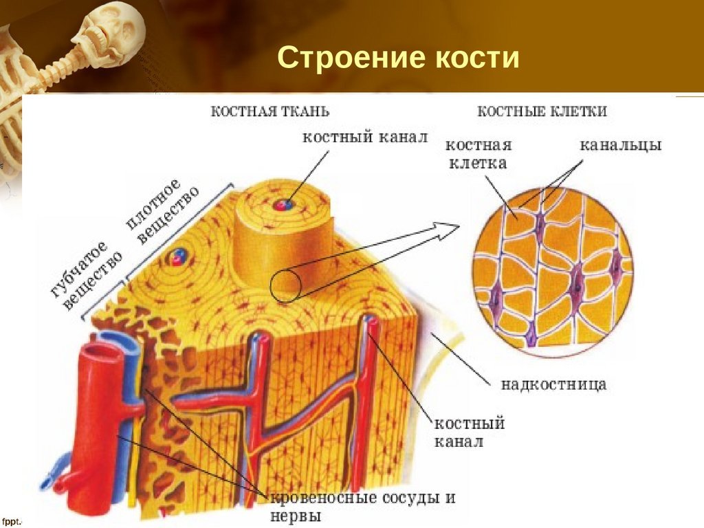 по ВРЬUlМ