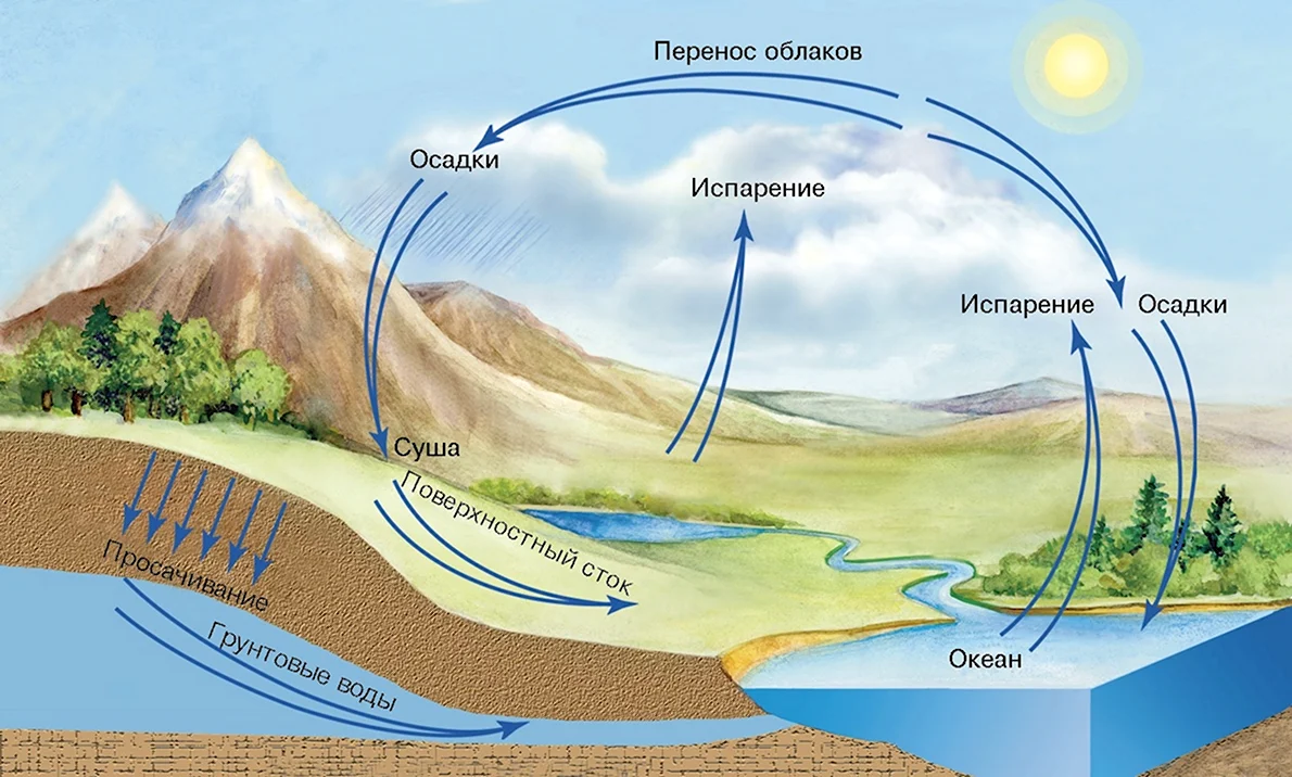 ГДЗ страница 107 география 6 класс Герасимова, Неклюкова