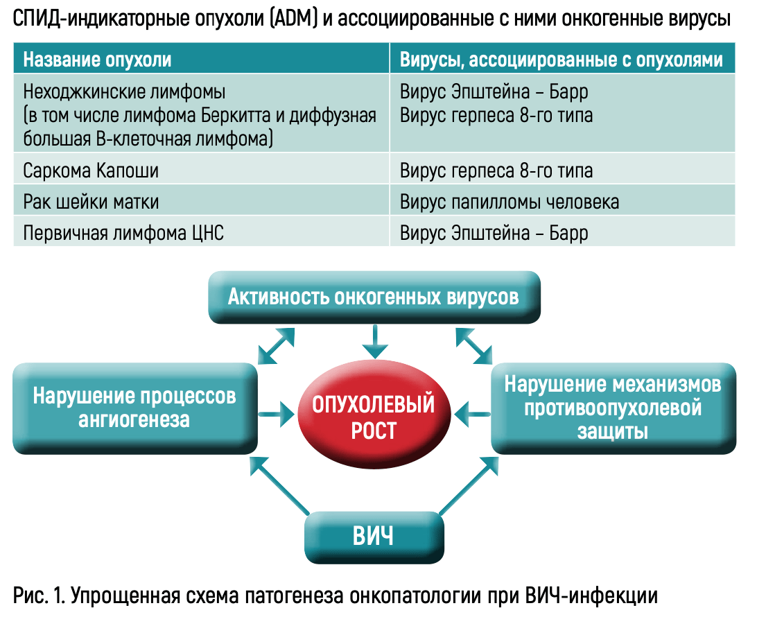 Традиционно в августе мы начинаем серию встреч Группы