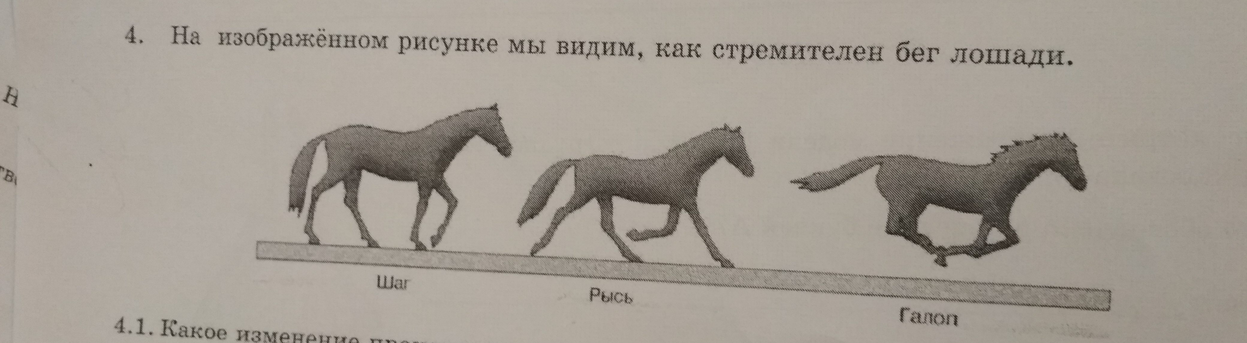 Энциклопедия тело человека Совушкина лавка и набор анатомия