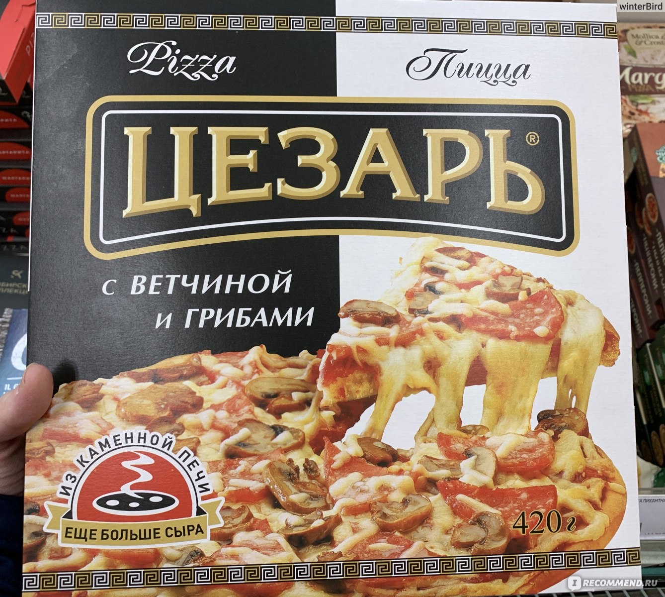 Пицца с курицей и грибами Лайфхакер