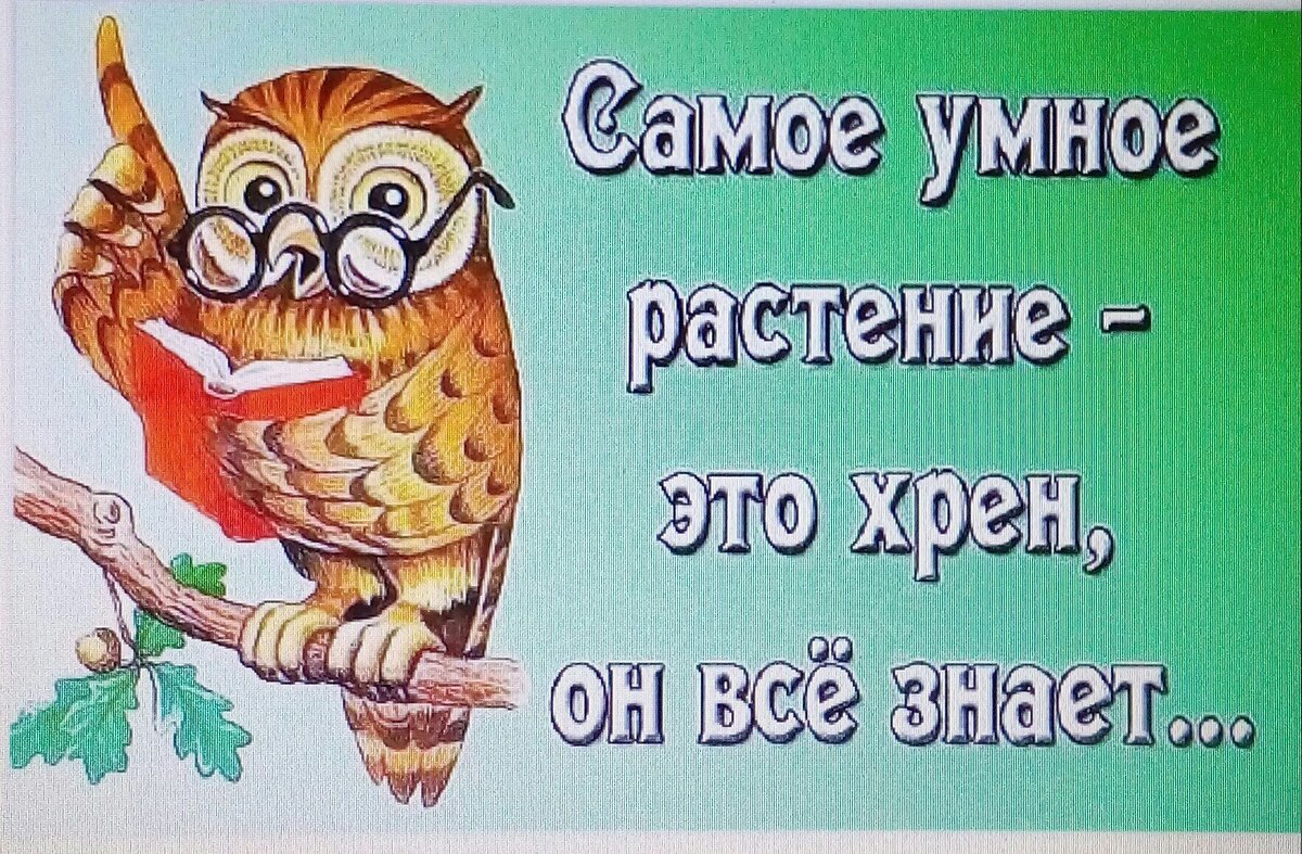 значок член семьи и доверенный взрослый Иллюстрация вектора