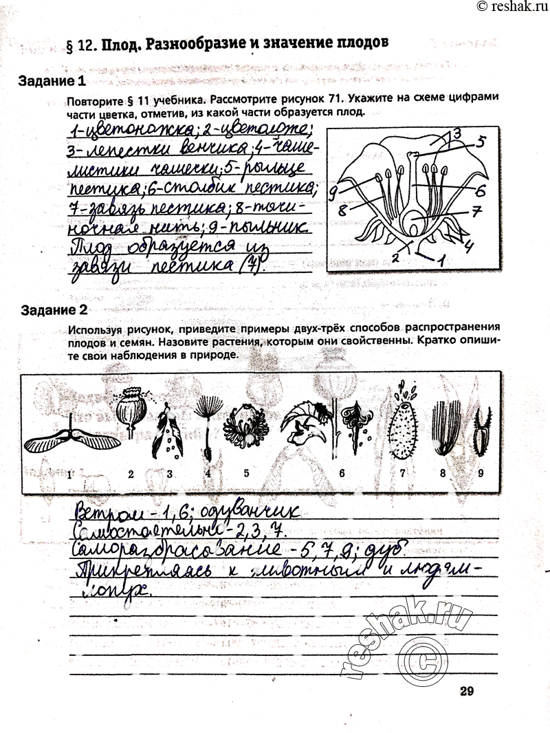 География ВПР 7 класс рекомендации для