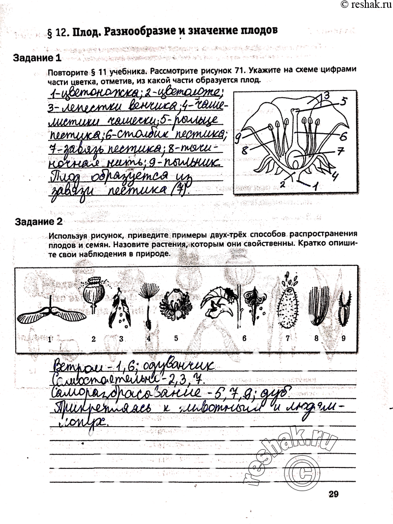 Обществознание 6 класс. Рабочая тетрадь