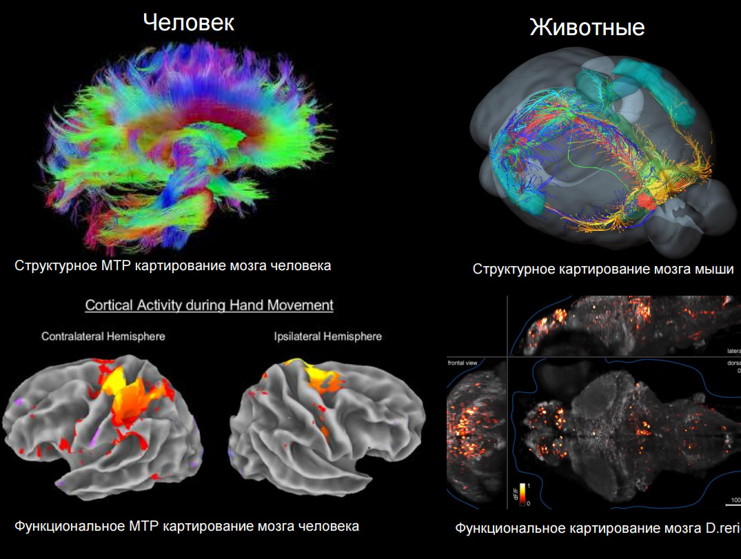 ФИЛОСОФИЯ: ОСНОВНЫЕ ПОНЯТИЯ И ОПРЕДЕЛЕНИЯ