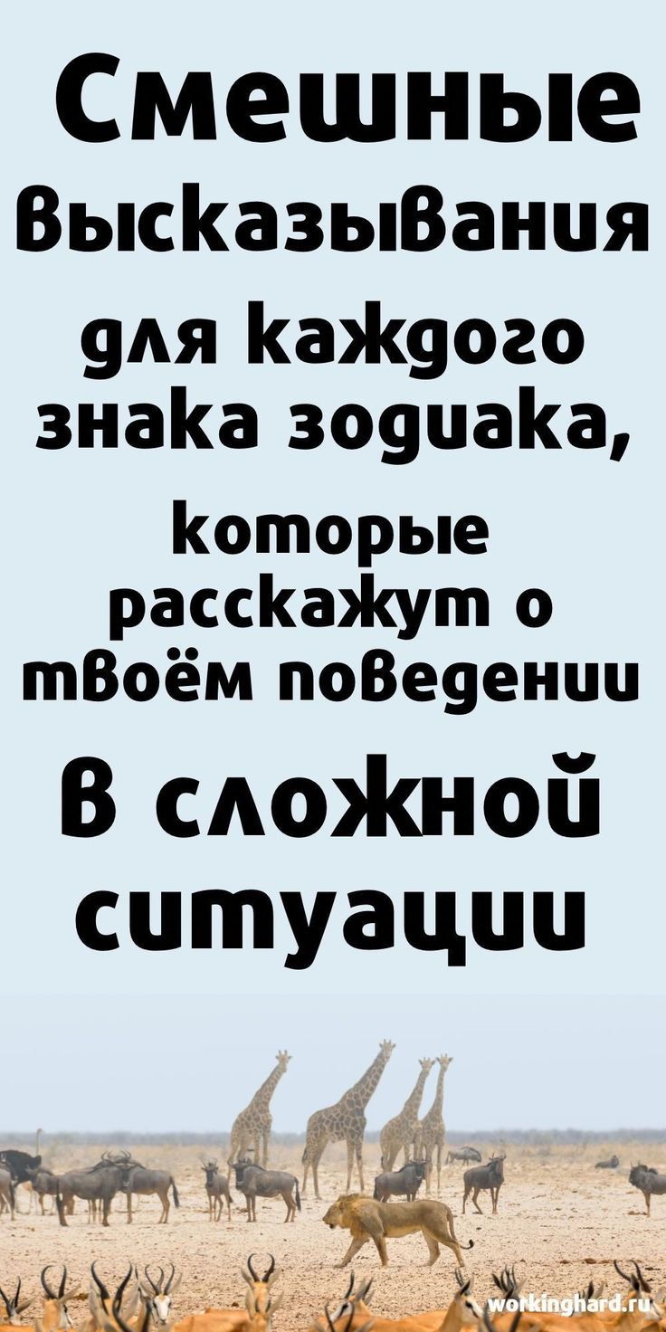 Забавные высказывания преподавателей