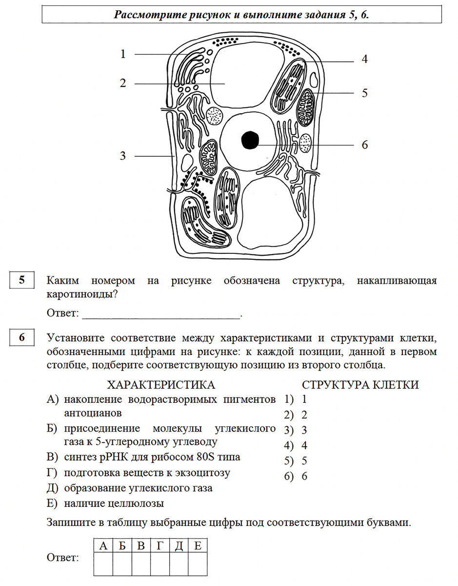 книгу Биология. 6