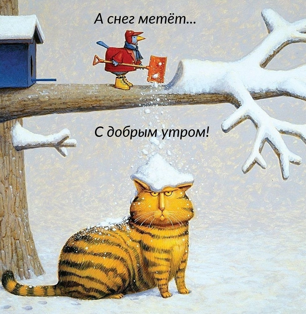 Доброе утро