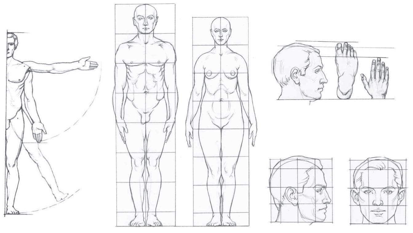 Нарисованная модель человека. Скачать и распечатать